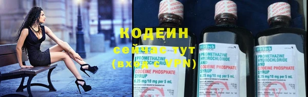 2c-b Каменка