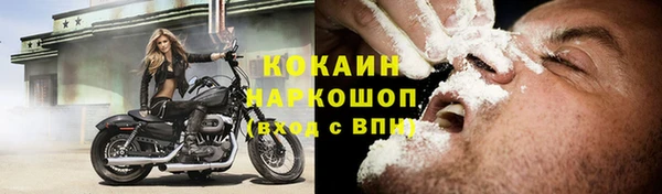 2c-b Каменка