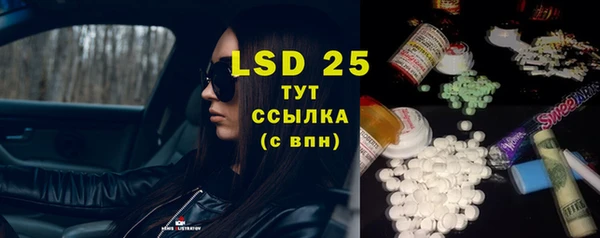 индика Каменногорск