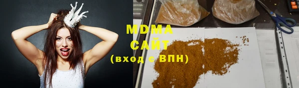 индика Каменногорск