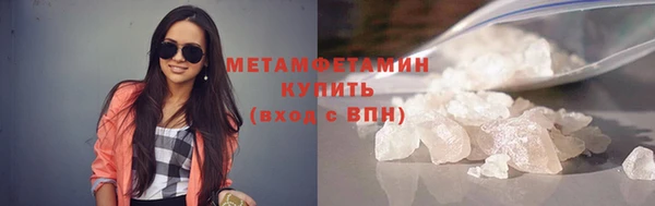индика Каменногорск