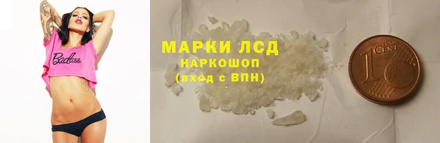 СК Каменск-Шахтинский