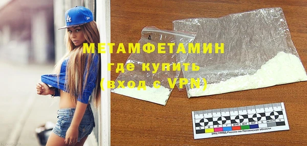 индика Каменногорск