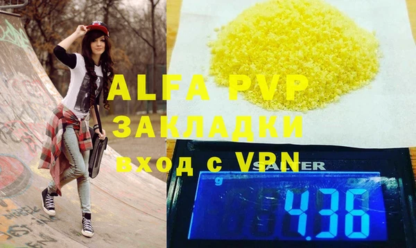 индика Каменногорск