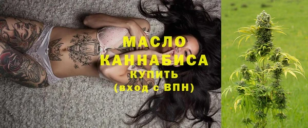 2c-b Каменка