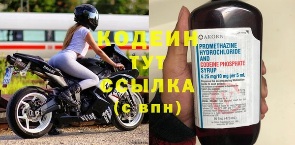 индика Каменногорск