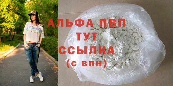 индика Каменногорск