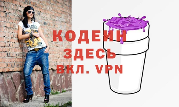 индика Каменногорск