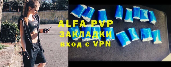 индика Каменногорск