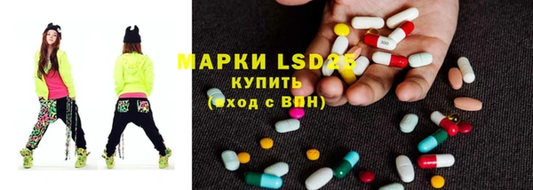 индика Каменногорск